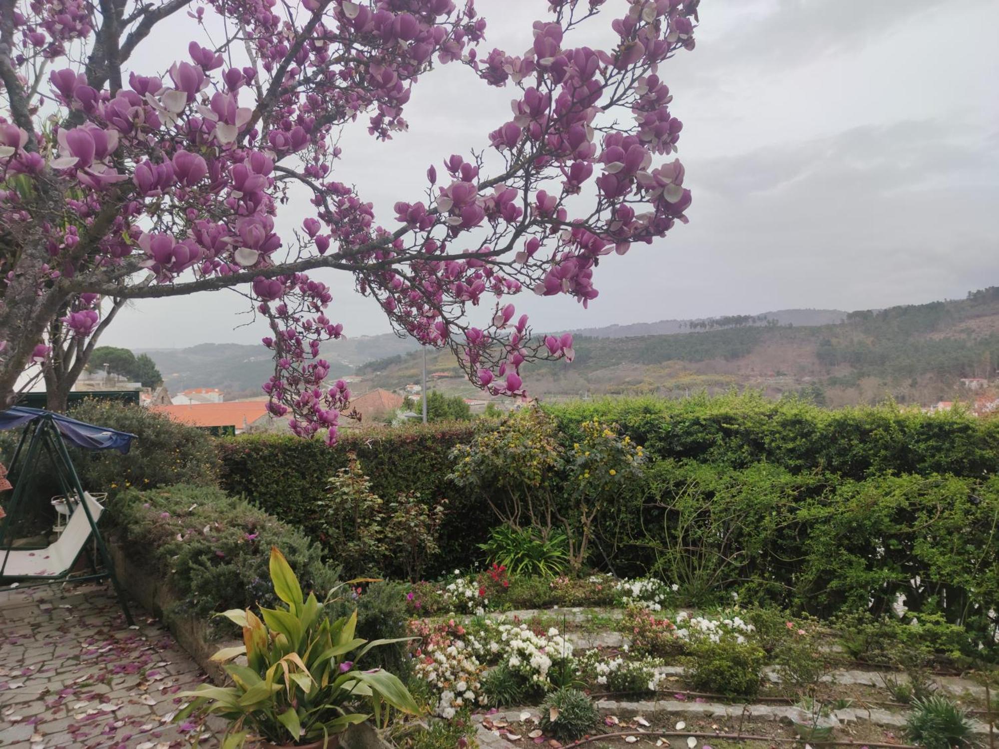 Real Santo Antonio Guest House Tarouca Exterior foto